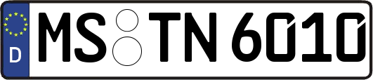MS-TN6010