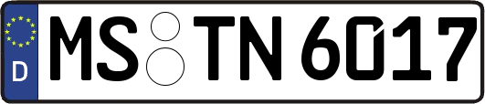 MS-TN6017