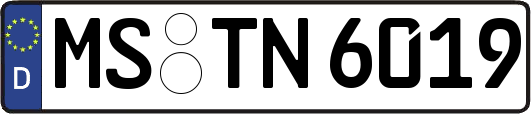 MS-TN6019
