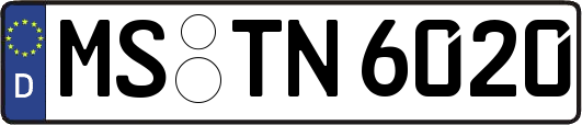MS-TN6020