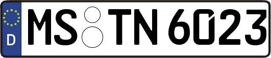 MS-TN6023
