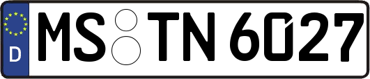 MS-TN6027