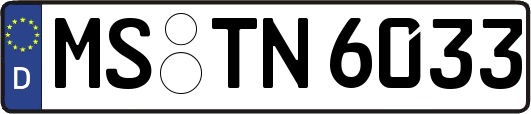 MS-TN6033