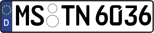 MS-TN6036