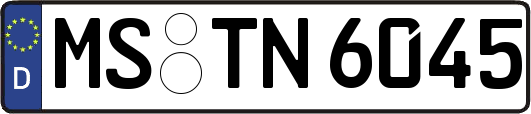 MS-TN6045