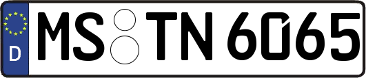 MS-TN6065
