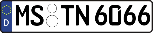 MS-TN6066