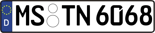 MS-TN6068