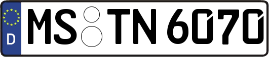 MS-TN6070