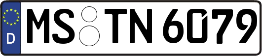 MS-TN6079