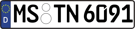 MS-TN6091