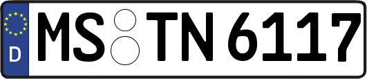 MS-TN6117