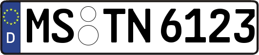 MS-TN6123