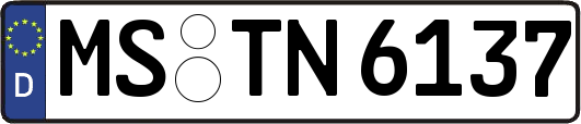 MS-TN6137