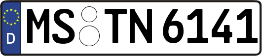 MS-TN6141
