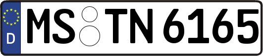 MS-TN6165