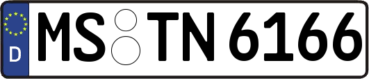 MS-TN6166