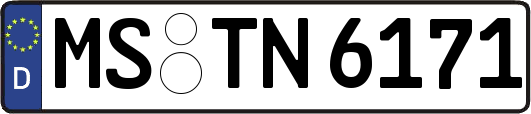 MS-TN6171