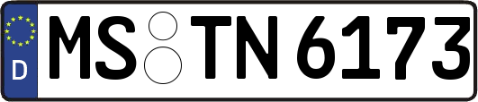 MS-TN6173