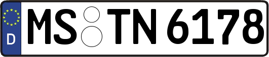 MS-TN6178