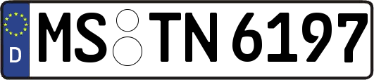 MS-TN6197
