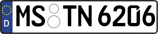 MS-TN6206