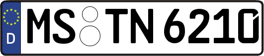 MS-TN6210