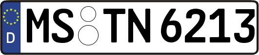 MS-TN6213