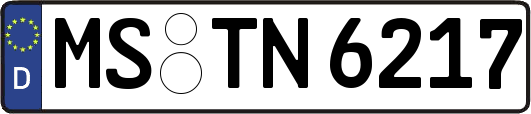MS-TN6217