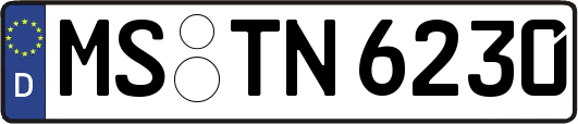 MS-TN6230
