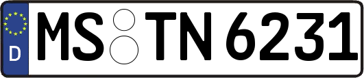 MS-TN6231