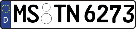MS-TN6273