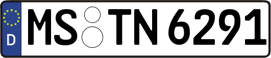 MS-TN6291