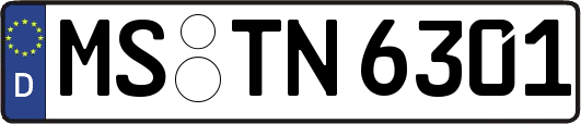 MS-TN6301