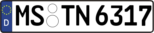 MS-TN6317