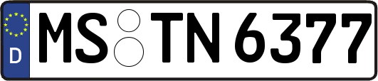 MS-TN6377