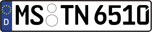 MS-TN6510