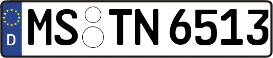 MS-TN6513