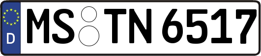 MS-TN6517