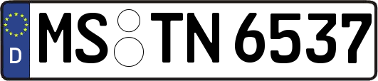 MS-TN6537
