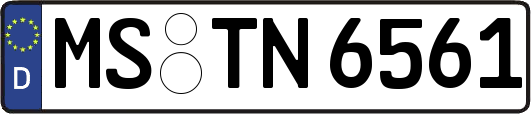 MS-TN6561