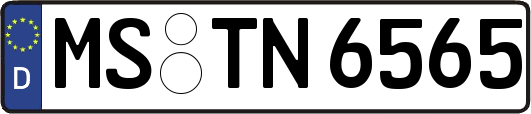 MS-TN6565