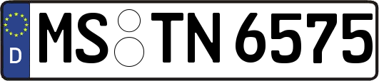 MS-TN6575