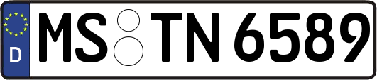 MS-TN6589