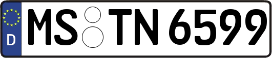 MS-TN6599