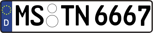 MS-TN6667