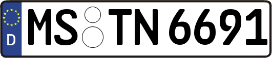 MS-TN6691