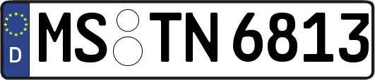MS-TN6813