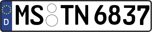 MS-TN6837