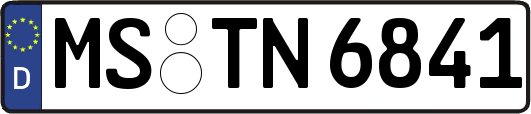 MS-TN6841